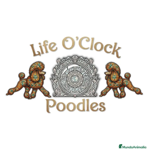 Imagen de galería {{count}}