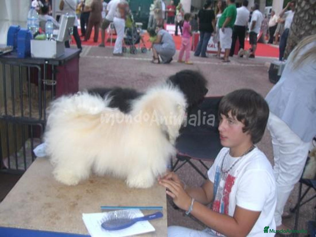 Imagen de galería {{count}}