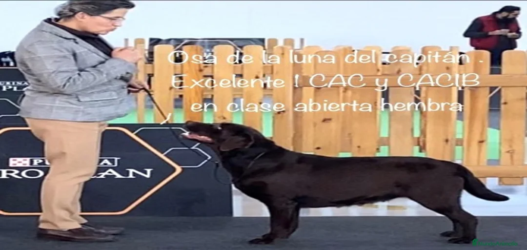 Imagen de galería {{count}}