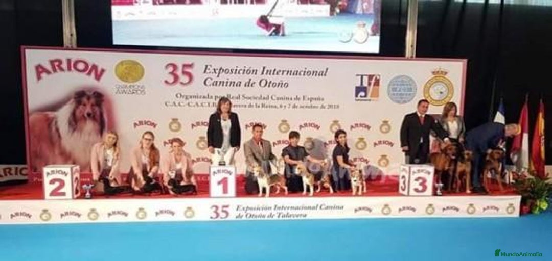 Imagen de galería {{count}}