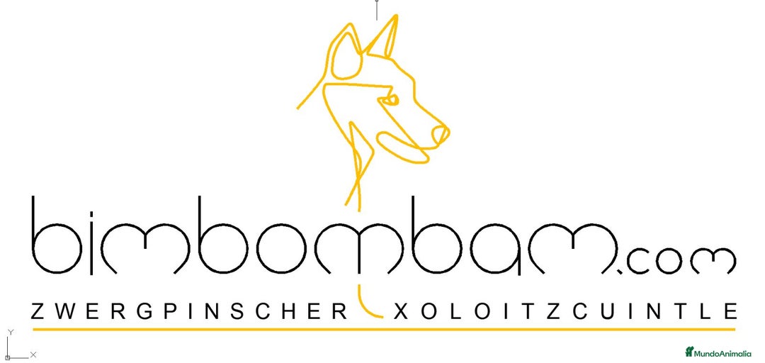 Imagen de galería {{count}}