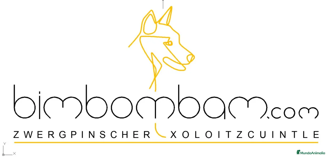 Imagen de galería {{count}}