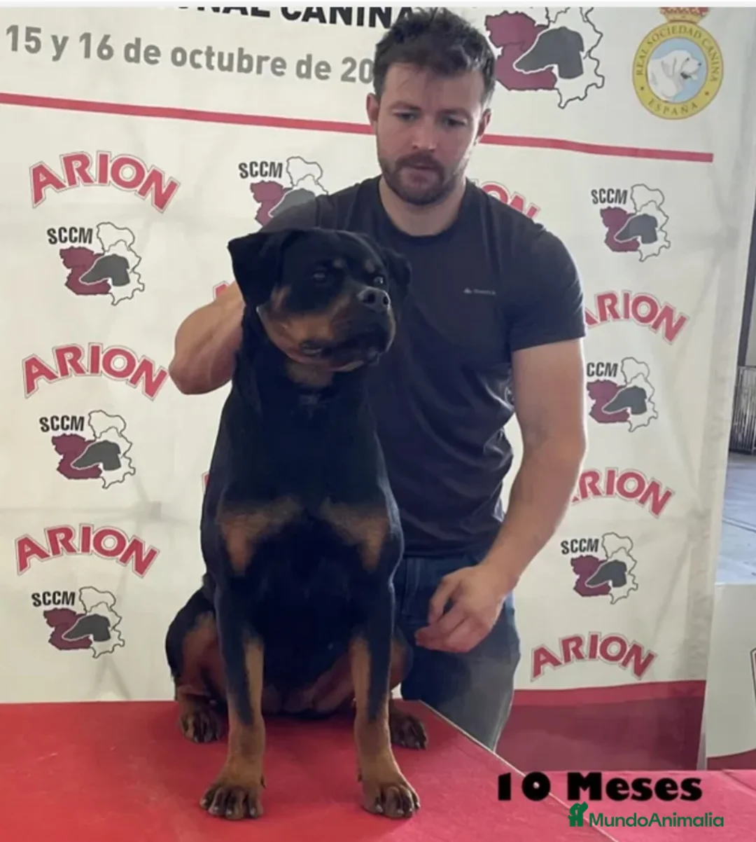 Imagen de galería {{count}}