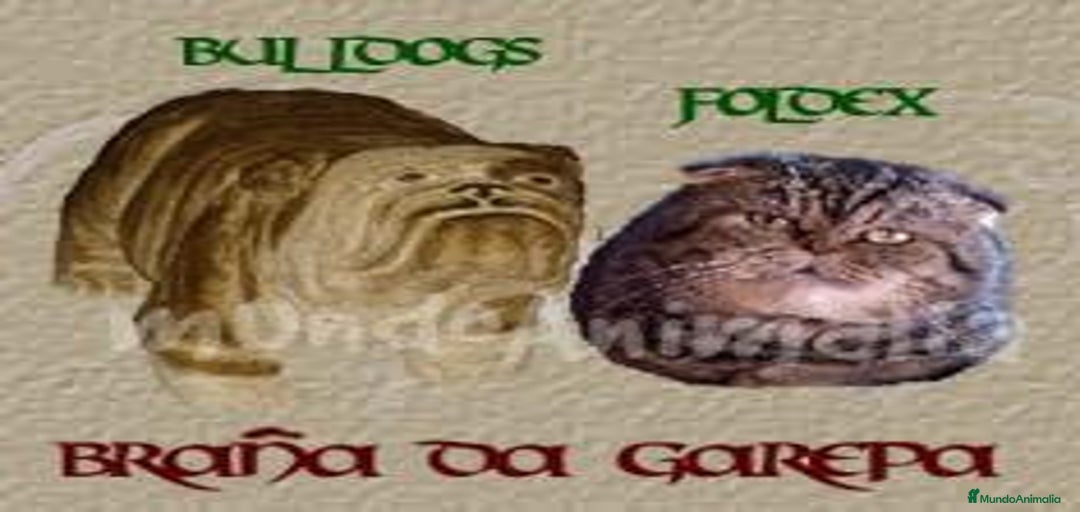 Imagen de galería {{count}}