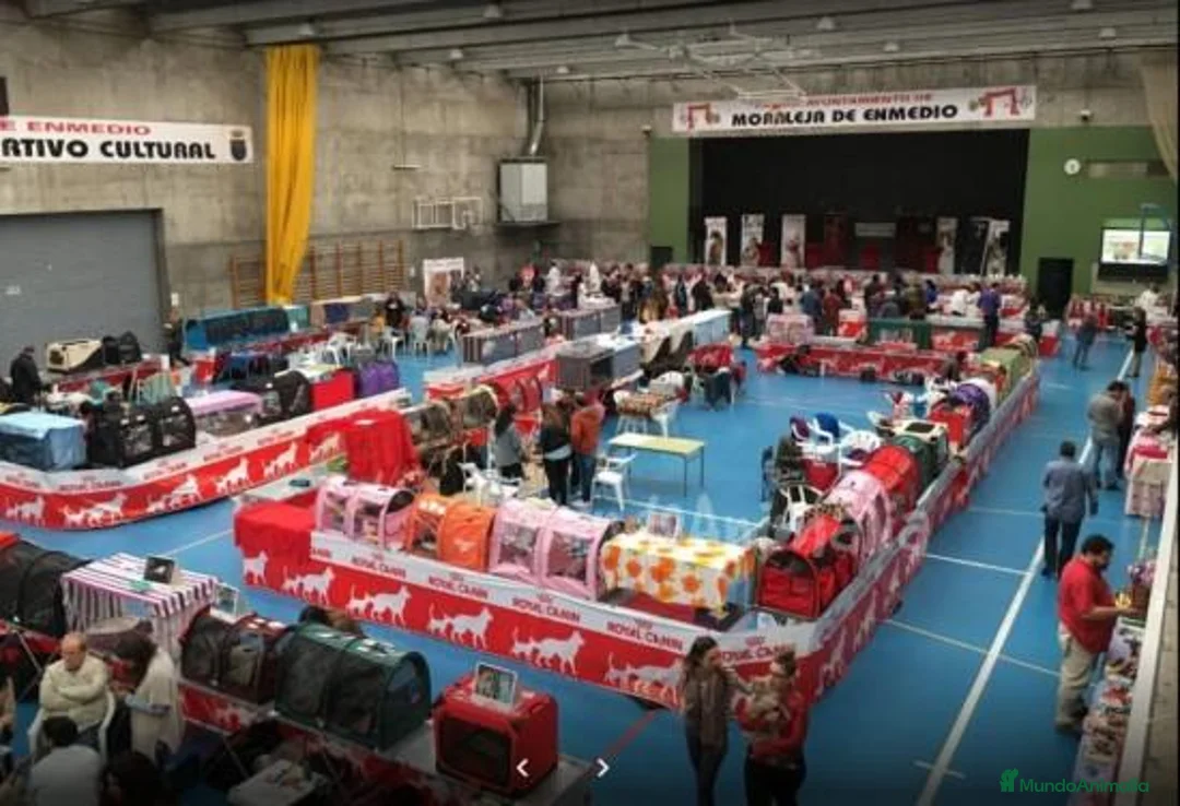 Imagen de galería {{count}}