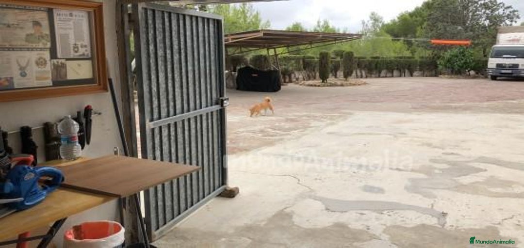 Imagen de galería {{count}}