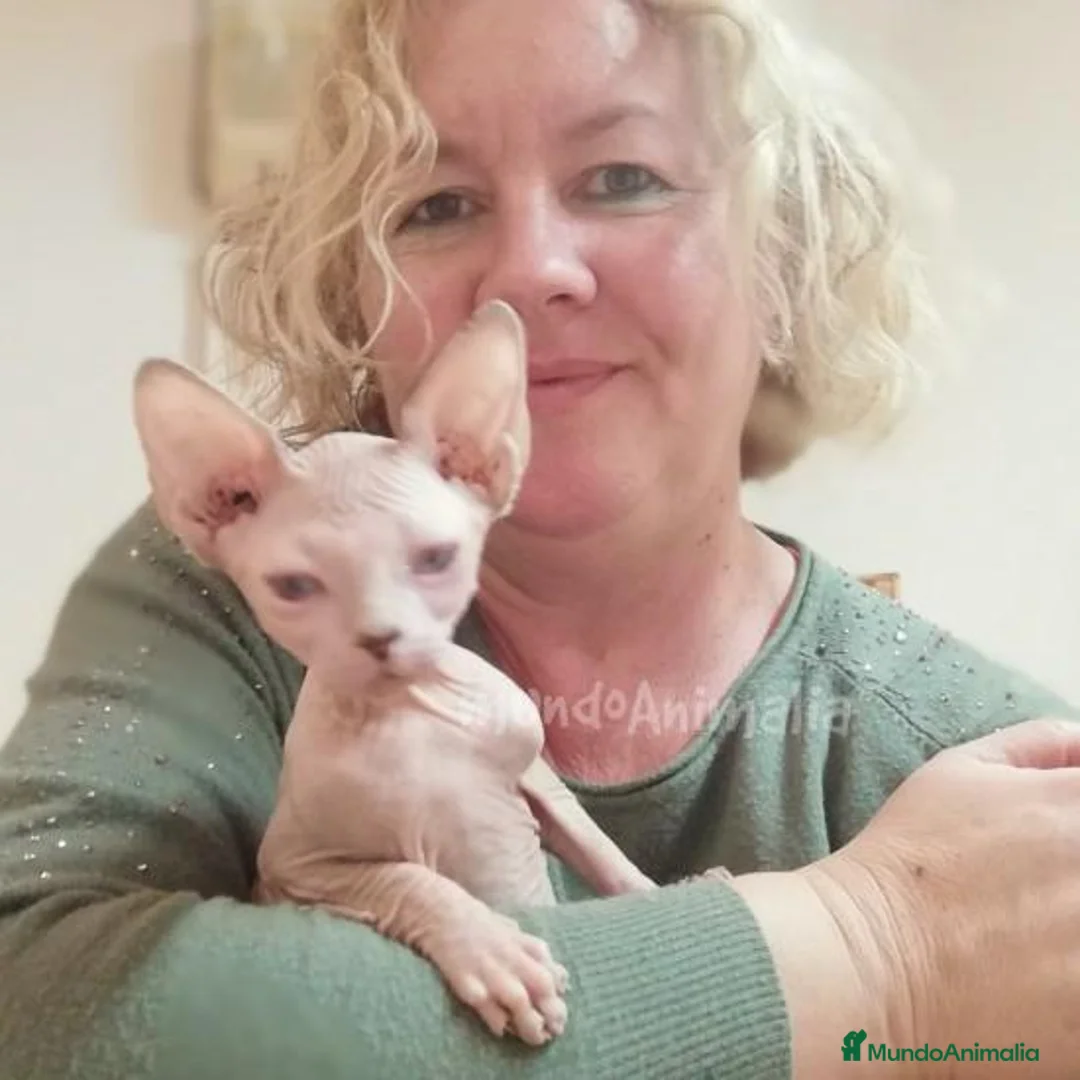 Imagen de galería {{count}}