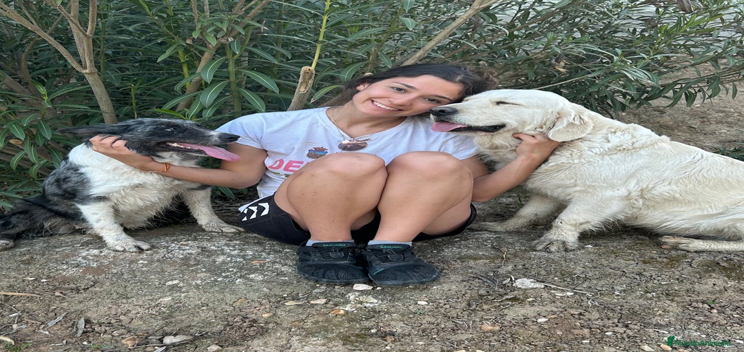 Imagen de galería {{count}}