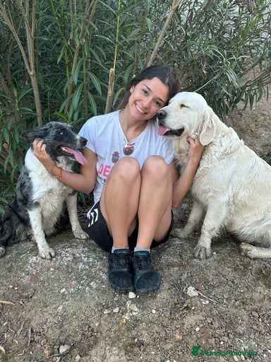 Imagen de galería {{count}}