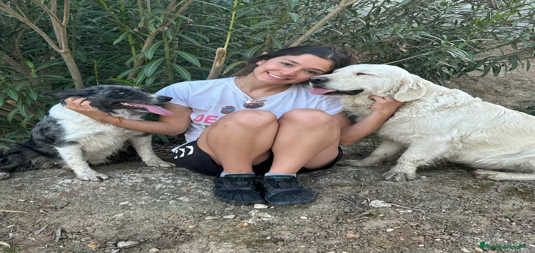 Imagen de galería {{count}}