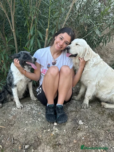 Imagen de galería {{count}}