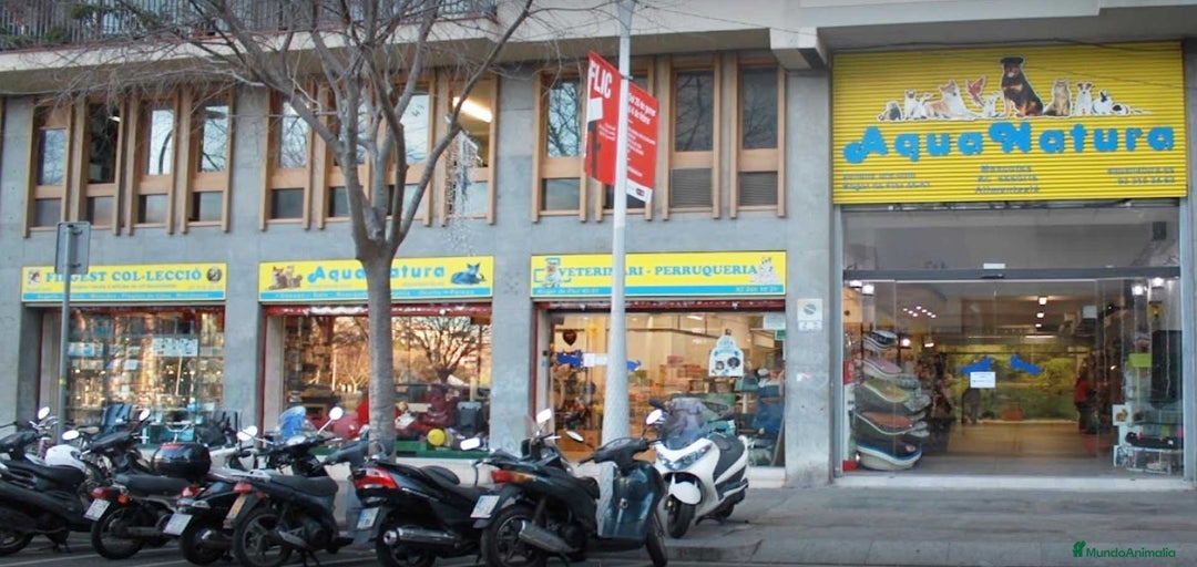 Imagen de galería {{count}}