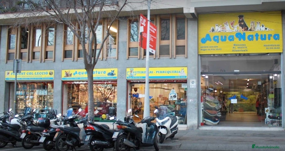 Imagen de galería {{count}}