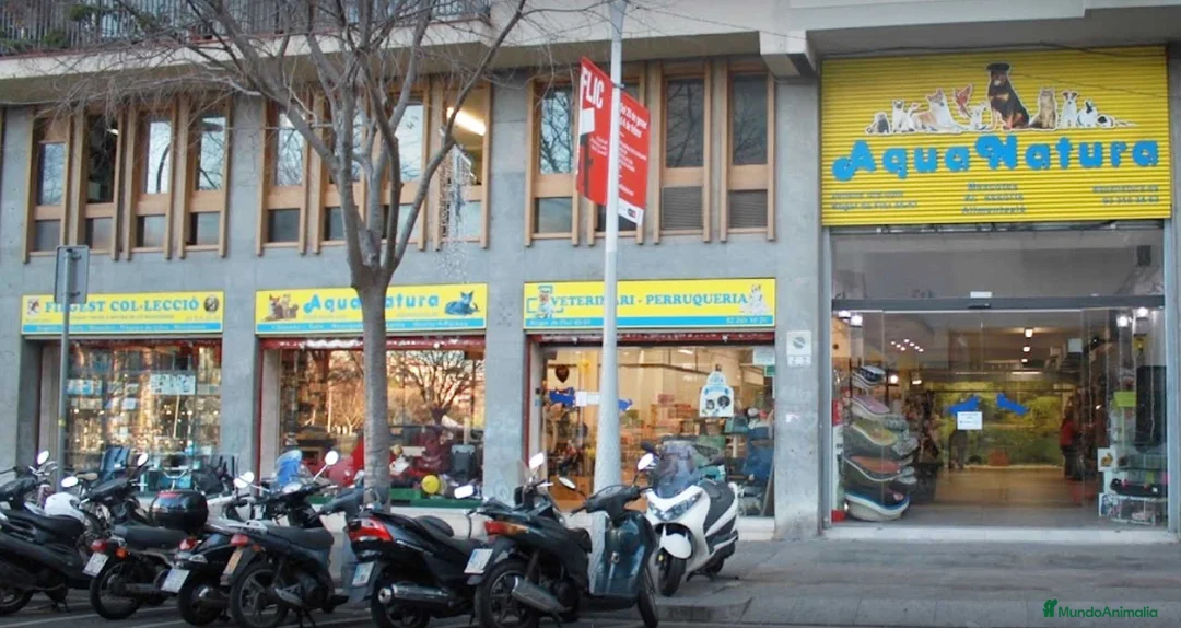 Imagen de galería {{count}}