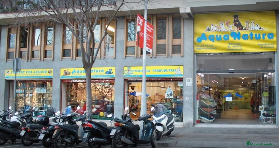 Imagen de galería {{count}}