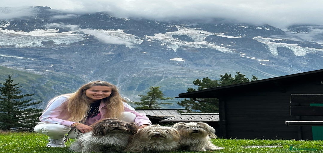 Imagen de galería {{count}}