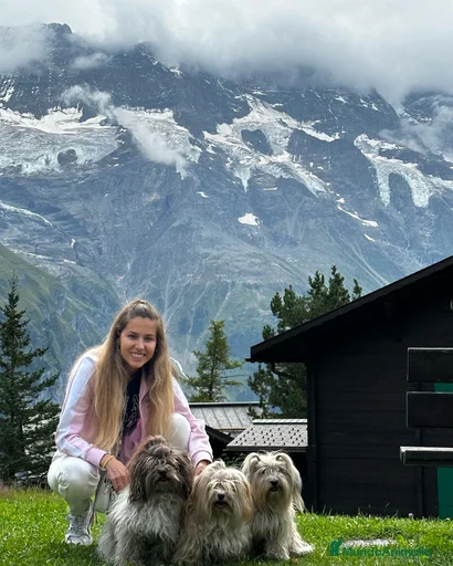 Imagen de galería {{count}}