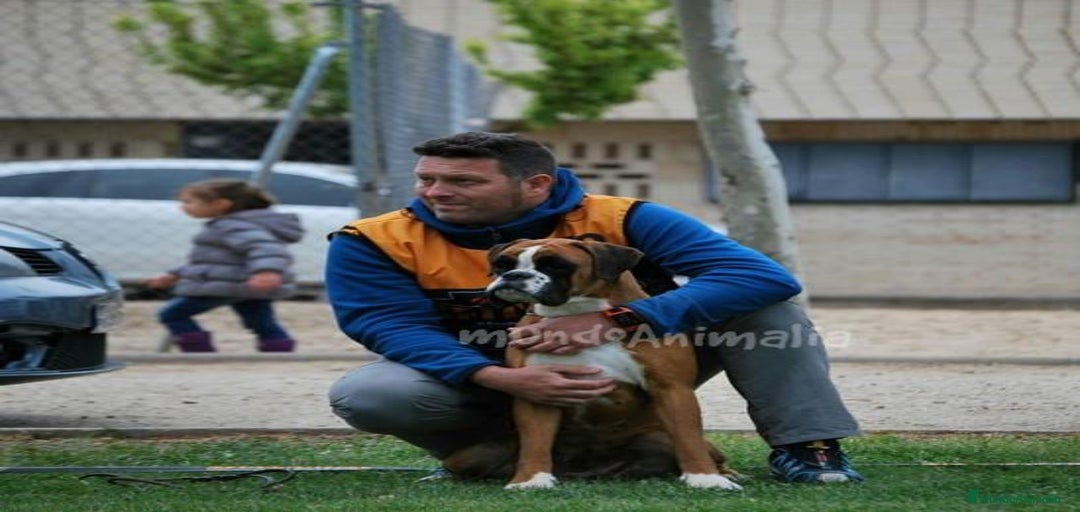 Imagen de galería {{count}}