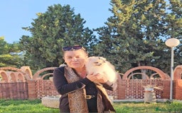 Pomerania perros en venta: HEMBRITA POMERANIA DIMINUTA  - Imagen 10