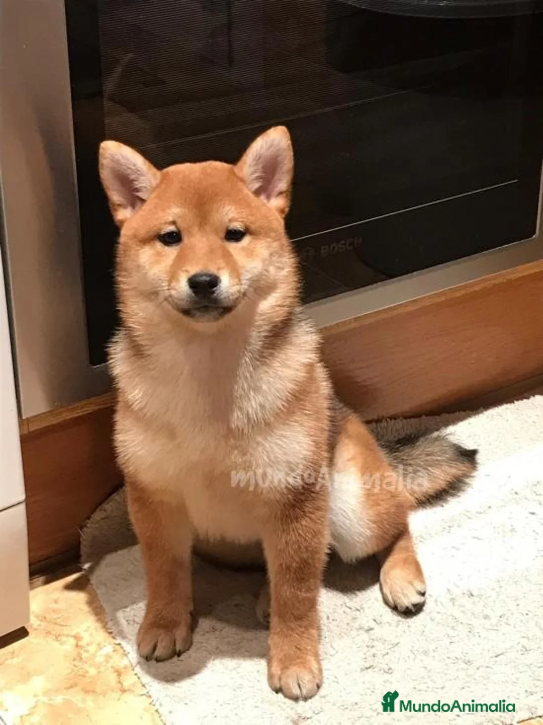 Imagen de galería {{count}}