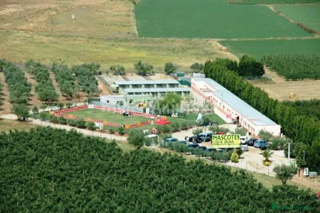 Imagen de galería {{count}}