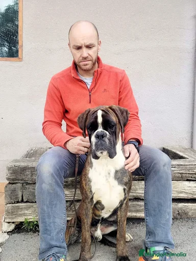 Imagen de galería {{count}}