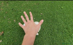 Pomerania perros en venta: Pomerania Blanco Nuclear MUY EXCLUSIVO - Imagen 4