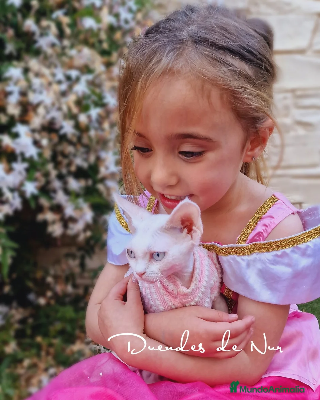 Imagen de galería {{count}}