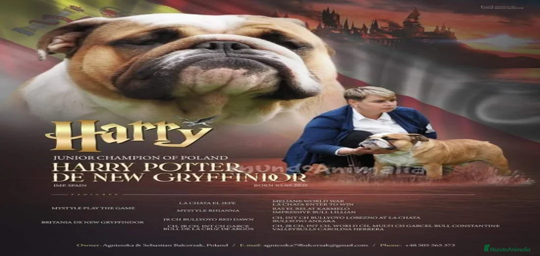 Imagen de galería {{count}}