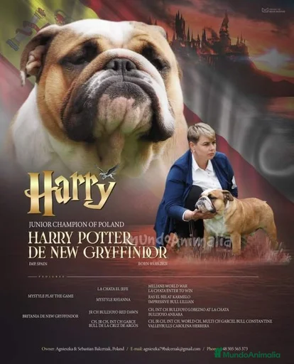 Imagen de galería {{count}}