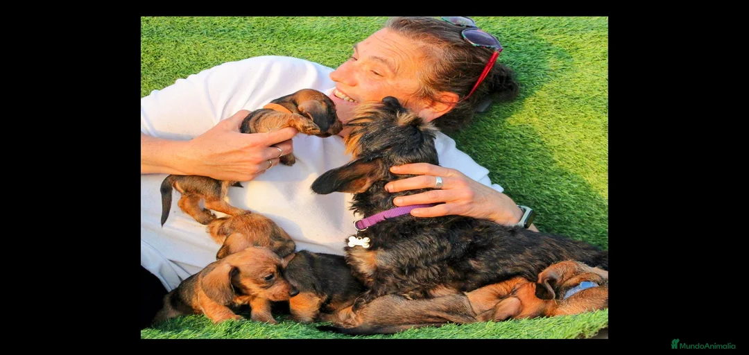 Imagen de galería {{count}}