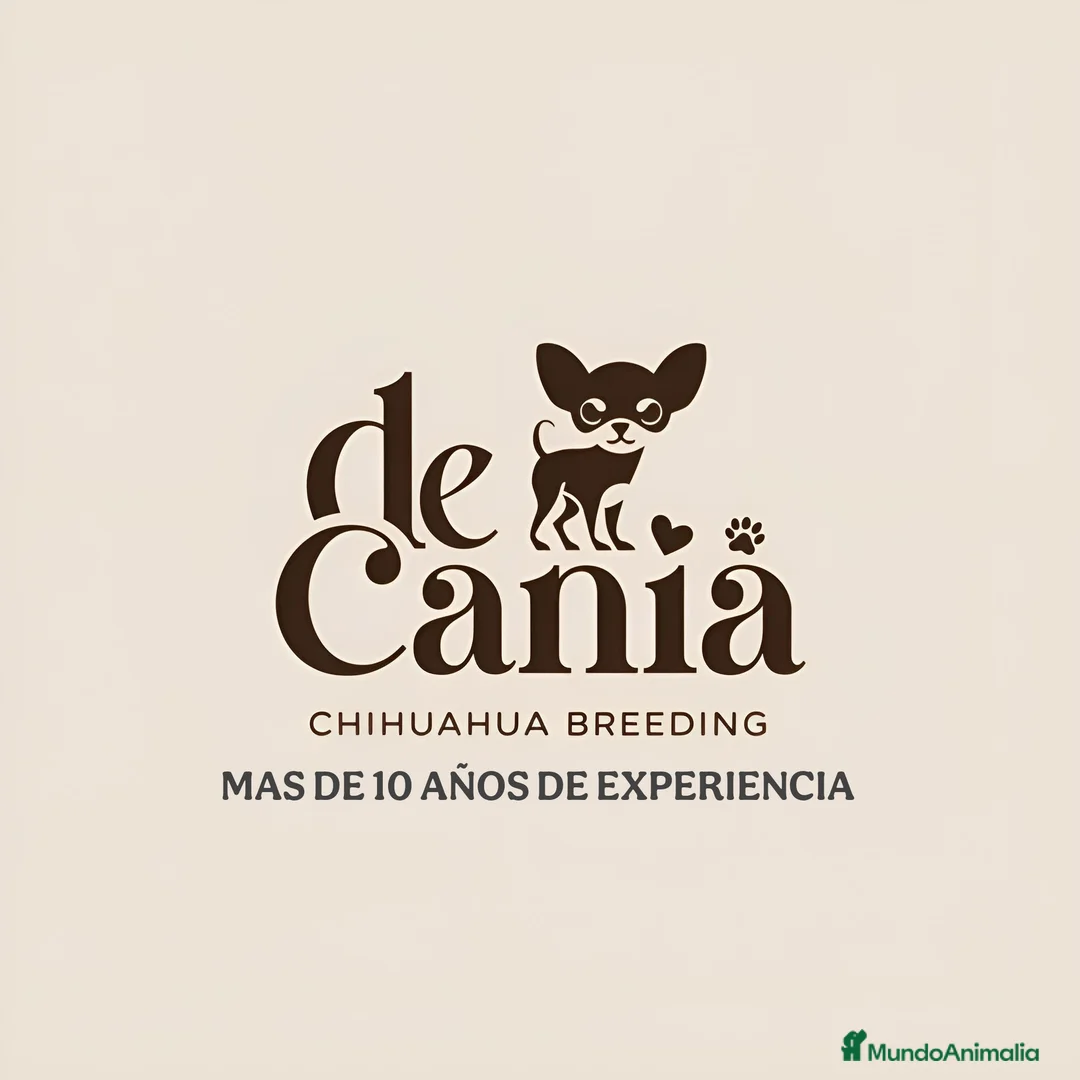 Imagen de galería {{count}}
