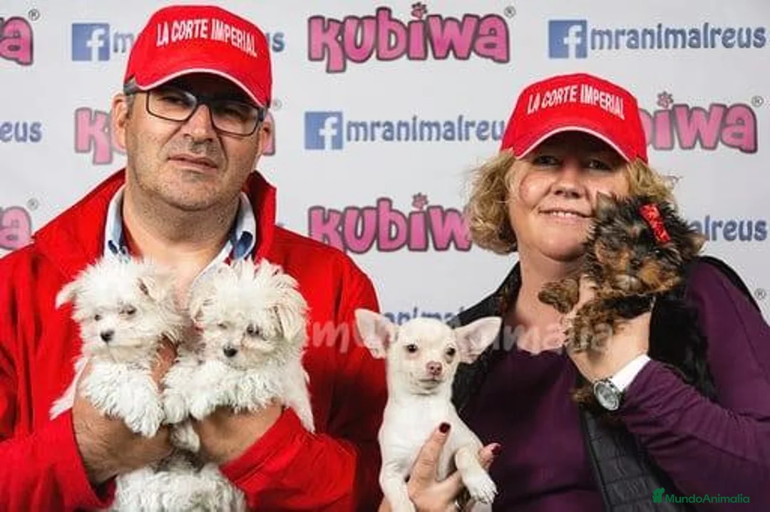 Imagen de galería {{count}}