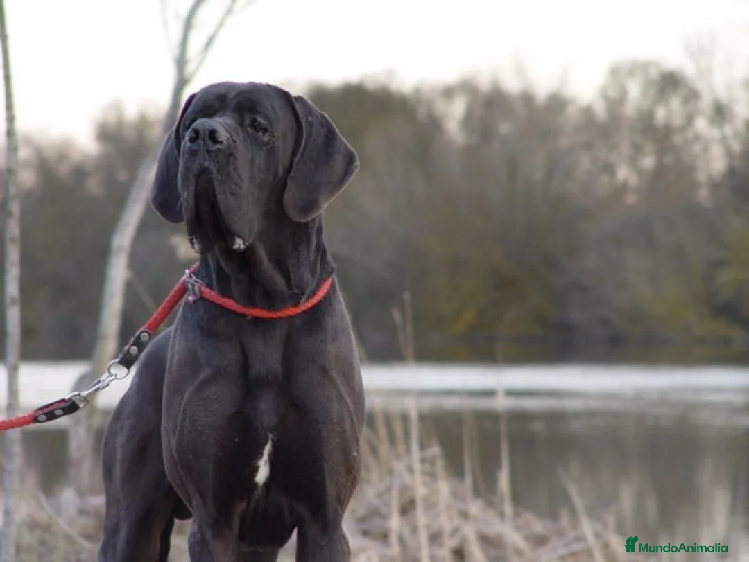 Imagen de galería {{count}}