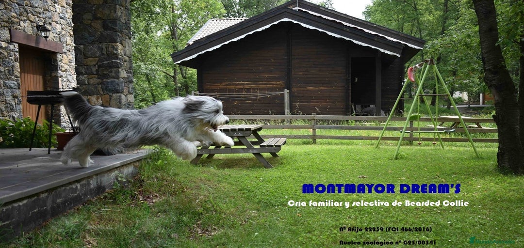 Imagen de galería {{count}}