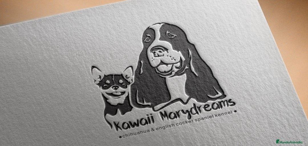 Imagen de galería {{count}}