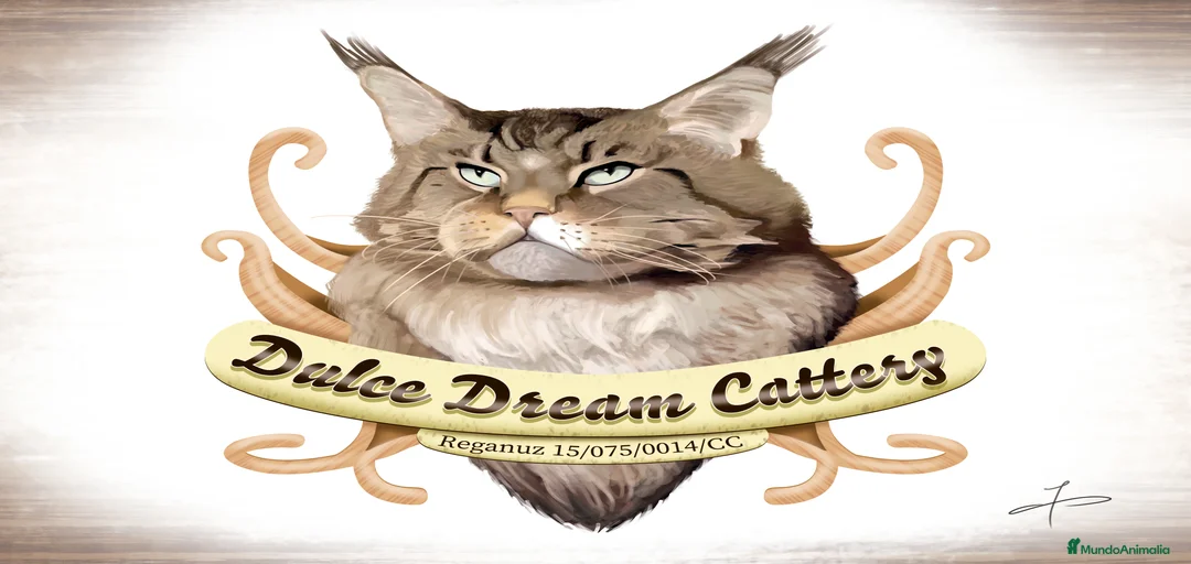 Imagen de galería {{count}}