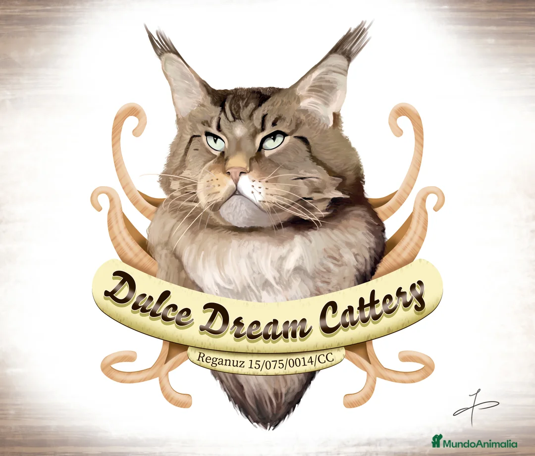 Imagen de galería {{count}}