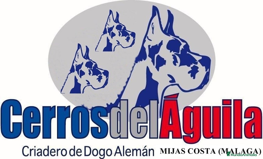 Imagen de galería {{count}}