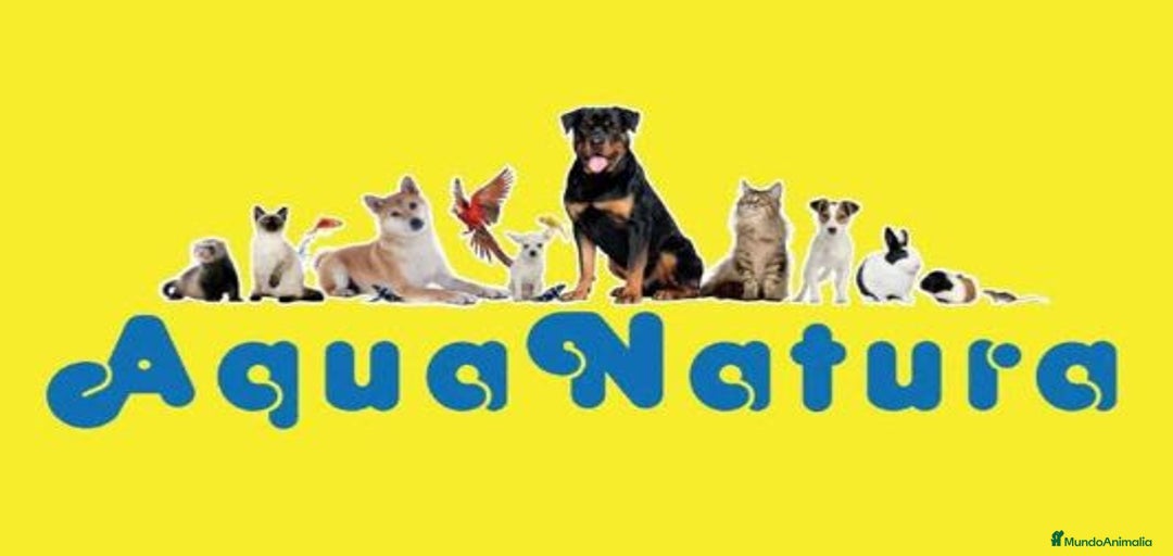 Imagen de galería {{count}}