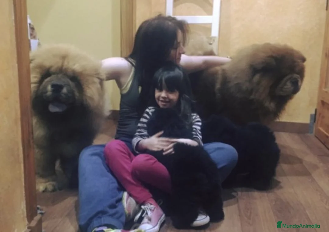 Imagen de galería {{count}}