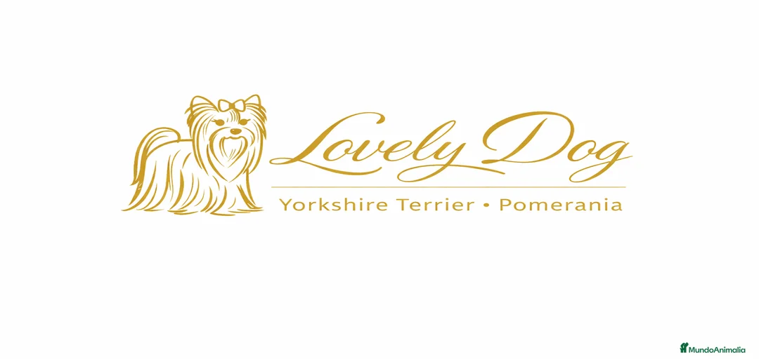 Imagen de galería {{count}}