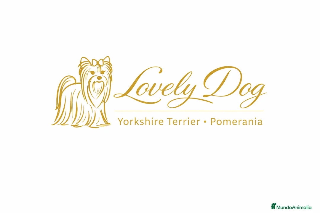 Imagen de galería {{count}}