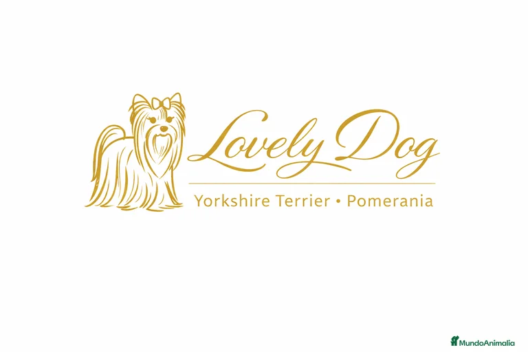 Imagen de galería {{count}}