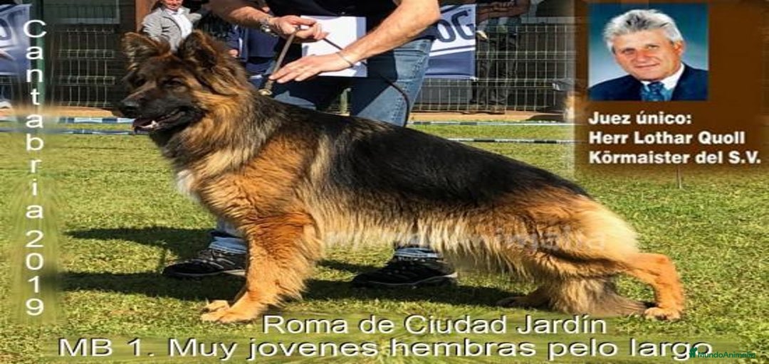 Imagen de galería {{count}}