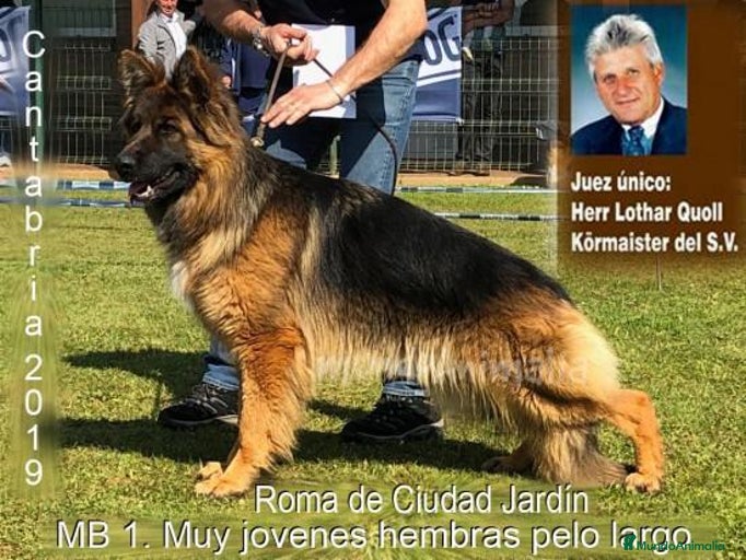 Imagen de galería {{count}}