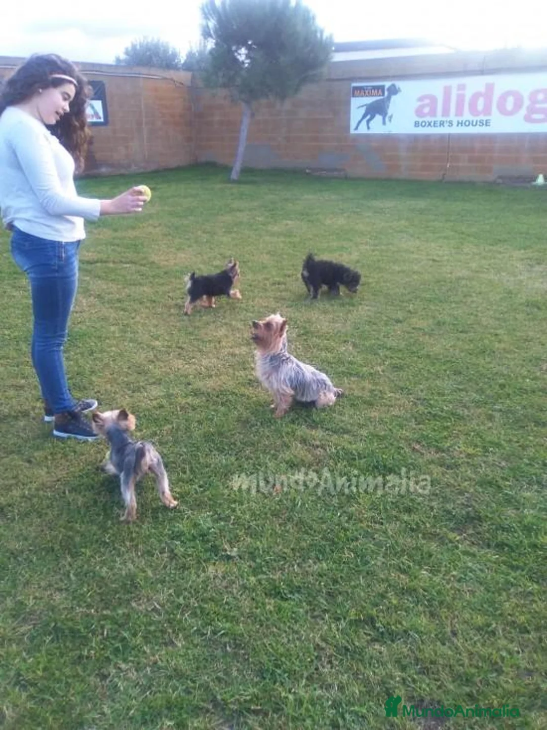 Imagen de galería {{count}}