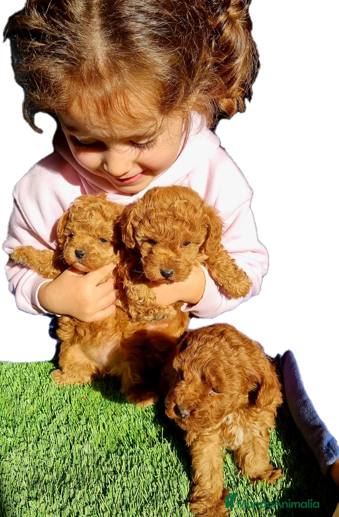 Imagen de galería {{count}}