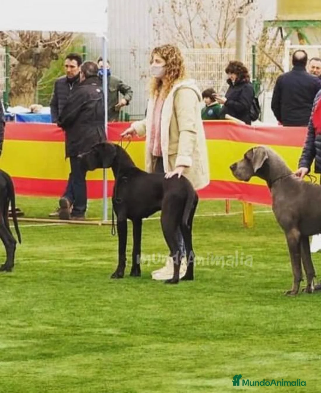 Imagen de galería {{count}}