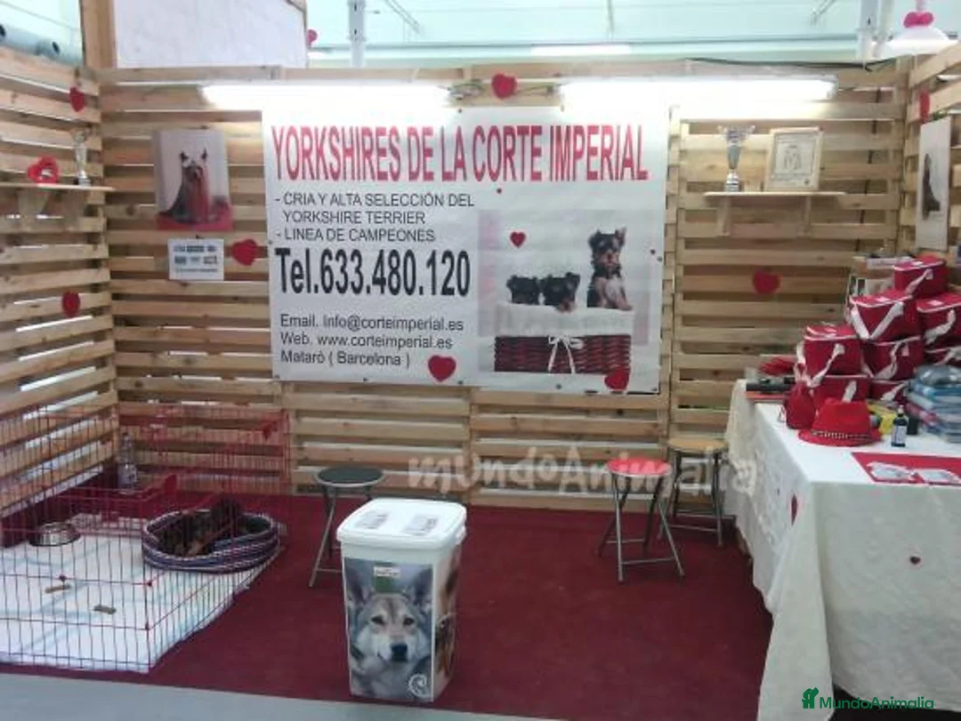 Imagen de galería {{count}}